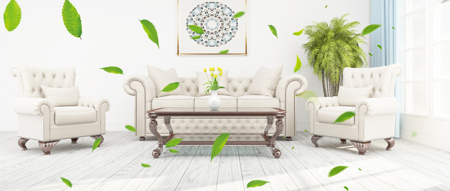【干货】新房必备 | 最适合净化空气的13种室内植物，你家有吗？